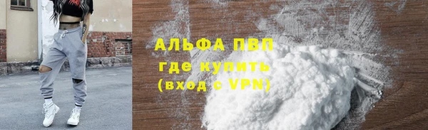 мдпв Богданович
