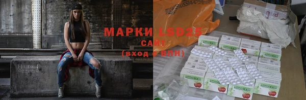 мдпв Богданович