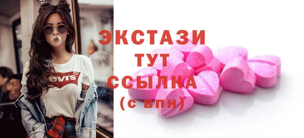 дживик Богородицк