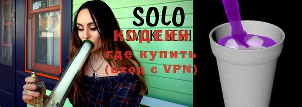 дживик Богородицк