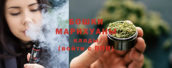дживик Богородицк