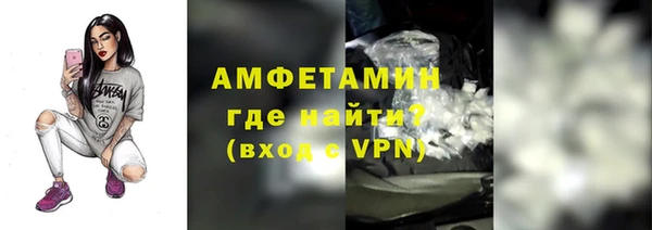 мдпв Богданович