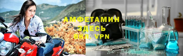 мдпв Богданович