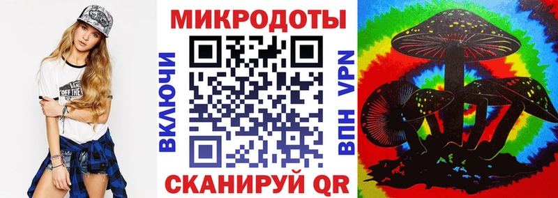 Галлюциногенные грибы MAGIC MUSHROOMS  shop наркотические препараты  Дмитровск 